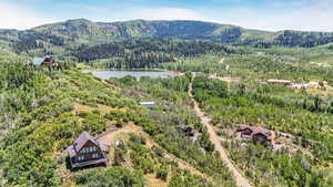 Drone / aerial view of a forest and a water and mountain view