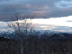 Mountain view featuring a forest