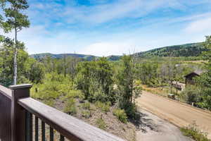 View of mountain backdrop with a heavily wooded area