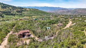 Bird's eye view of a heavily wooded area and a mountain backdrop