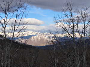 View of mountain views featuring a forest