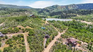 Bird's eye view of a forest and a water and mountain view