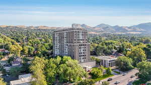 Bird's eye view of a mountain backdrop and a forest