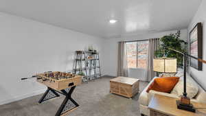 Recreation room with carpet flooring