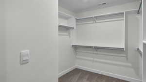 Spacious closet featuring dark colored carpet