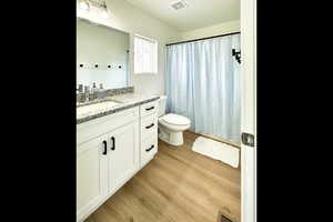 Bathroom with vanity, wood finished floors, and a shower with shower curtain