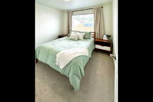 Bedroom with carpet flooring