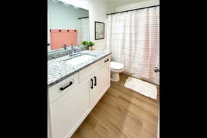 Bathroom with vanity, wood finished floors, and a shower with curtain