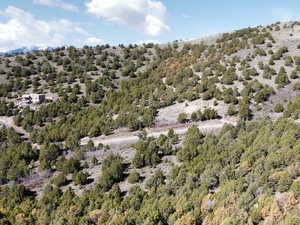 View of property location with a heavily wooded area