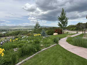 View of community with a mountain view and a yard