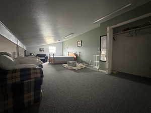 Bunk house bedroom featuring lofted ceiling, a textured ceiling, and carpet flooring