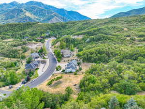 Aerial view of a heavily wooded area and a mountain backdrop