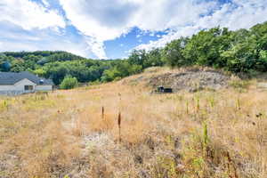 View of woods featuring a view of rural / pastoral area