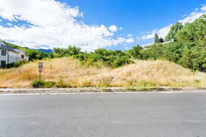 View of asphalt street with curbs and traffic signs