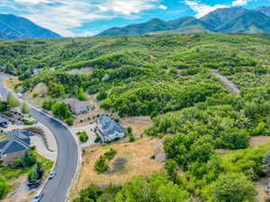 Bird's eye view of mountains and a forest