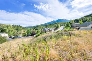 Mountain view with a heavily wooded area