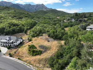 Aerial view of property and surrounding area with a forest and a mountain backdrop