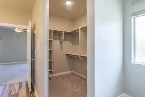 Spacious closet with carpet floors and wood finished floors