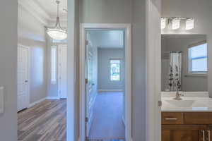 Full bath with vanity, wood finished floors, and a shower with shower curtain