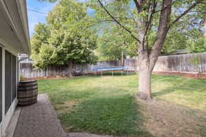 Fenced backyard featuring a trampoline