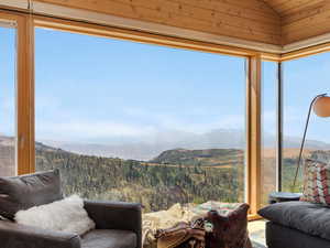 View of mountain background with a forest