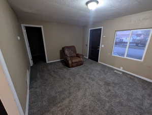 Unfurnished room with a textured ceiling and carpet flooring