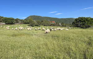 Mountain view with rural landscape