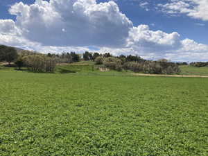 View of green lawn featuring a view of countryside