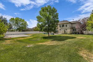 Large yard with sport court