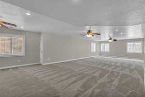 Large basement family room