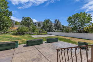 Large yard with sport court and fruit trees
