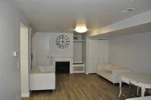 Living area featuring dark wood-style flooring and a fireplace
