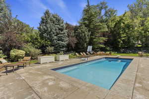 Swimming pool featuring a patio area and view of scattered trees