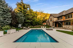 Swimming pool featuring a patio area, a diving board, and outdoor lounge area
