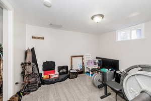 Recreation room featuring carpet