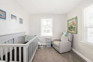 Bedroom featuring carpet flooring, multiple windows, and a crib