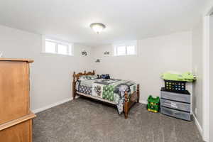 Carpeted bedroom with multiple windows