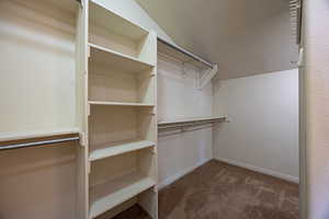 Walk in closet featuring carpet