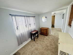 Hallway with light colored carpet and baseboards