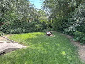 Backyard showing steps from paver patio and firepit with lush green background