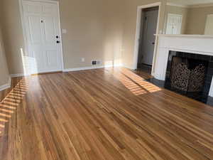 Showing fireplace and front entrance door