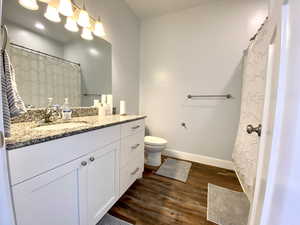 Primary Bathroom with vanity, dark wood-type flooring, and curtained shower