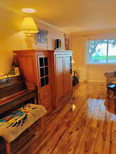 Living area featuring crown molding and wood finished floors