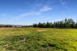 View of yard featuring a rural view
