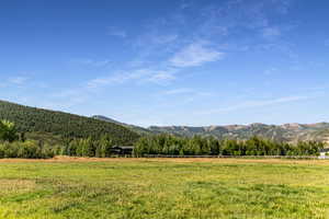 View of mountain backdrop featuring a heavily wooded area and rural landscape