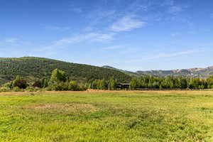 Mountain view with a heavily wooded area and rural landscape