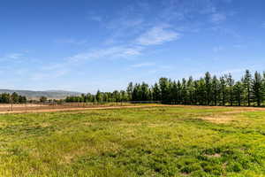 View of yard with a rural view and a mountain view