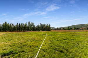 View of yard with a rural view and a mountain view