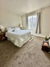 Bedroom with carpet floors and baseboards