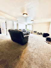 Carpeted living room featuring a textured ceiling and heating unit